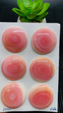 Queen Conch Shell Round Cabs • 30 mm Size • Pack of 1 Piece • AAA Quality • Flat Back • Queen Conch Cabochons