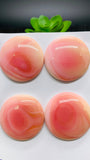 Queen Conch Shell Round Cabs • 35 mm Size • Pack of 1 Piece • AAA Quality • Flat Back • Queen Conch Cabochons