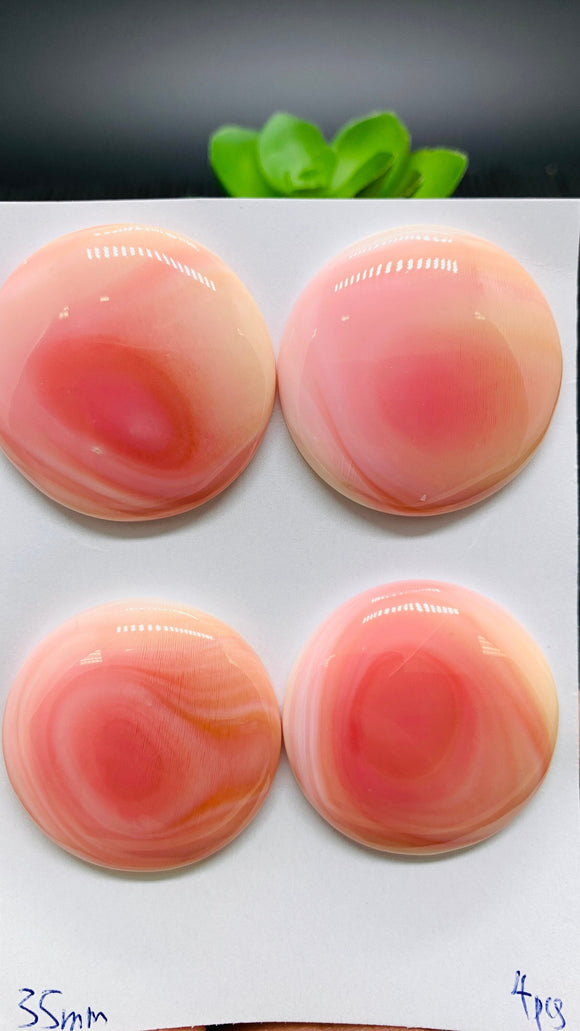 Queen Conch Shell Round Cabs • 35 mm Size • Pack of 1 Piece • AAA Quality • Flat Back • Queen Conch Cabochons