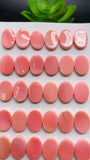 Queen Conch Shell Oval Cabs • 10x14 mm Size • Pack of 4 Pc • Both Sides Flat• AAA Quality • Queen Conch Cabochons