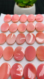 Queen Conch Shell Oval Cabs • 12x16 mm Size • Pack of 2 Pcs • Both Sides Flat• AAA Quality   • Queen Conch Cabochon