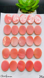 Queen Conch Shell Oval Cabs • 12x16 mm Size • Pack of 2 Pcs • Both Sides Flat• AAA Quality • Queen Conch Cabochon
