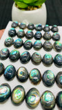 Abalone Shell Oval Cabs- 10x14 mm Size- Pack of 4 Pcs- AAAA Quality- Natural Abalone Cabochons