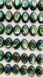 Abalone Shell Oval Cabs- 10x14 mm Size- Pack of 4 Pcs- AAAA Quality-  Natural Abalone Cabochons