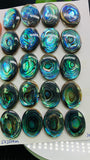 Abalone Shell Oval Cabs- 15x20 mm Size- Pack of 2 Pcs - AAAA Quality-  Natural Abalone Cabochons