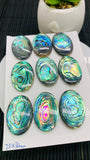 Abalone Shell Oval Cabs- 20x30 mm Size- Pack of 1 Pc- AAAA Quality-  Natural Abalone Cabochons