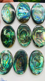Abalone Shell Oval Cabs- 20x30 mm Size- Pack of 1 Pc- AAAA Quality- Natural Abalone Cabochons