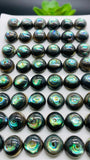 Abalone Shell Round Cabs- 10 mm Size- Pack of 4 Pcs- AAAA Quality-  Natural Abalone Cabochons