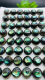 Abalone Shell Round Cabs- 10 mm Size- Pack of 4 Pcs- AAAA Quality- Natural Abalone Cabochons