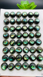 Abalone Shell Round Cabs- 10 mm Size- Pack of 4 Pcs- AAAA Quality- Natural Abalone Cabochons