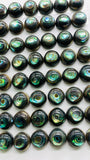 Abalone Shell Round Cabs- 10 mm Size- Pack of 4 Pcs- AAAA Quality-  Natural Abalone Cabochons