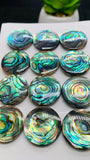 Abalone Shell Round Cabs- 20 mm Size- Pack of 1 Pc- AAAA Quality-  Natural Abalone Cabochons