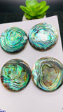 Abalone Shell Round Cabs- 35 mm Size- Pack of 1 Pc- AAAA Quality- Natural Abalone Cabochons