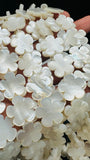 White MOP Flower Beads • 18x18 mm Size • 5 Petal Flower - 40 cm length • AAA Quality • Natural White Mother of Pearl