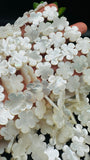 White MOP Flower Beads • 18x18 mm Size • 5 Petal Flower - 40 cm length • AAA Quality • Natural White Mother of Pearl