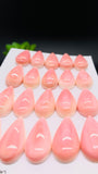 Queen Conch Shell Pear Cabs • 12x24 mm Size • Pack of 2 Pcs • AAA Quality • Flat Back • Queen Conch Cabochons