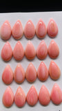 Queen Conch Shell Pear Cabs • 10x20 mm Size • Pack of 2 Pcs • AAA Quality • Flat Back • Queen Conch Cabochons