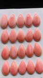 Queen Conch Shell Pear Cabs • 10x20 mm Size • Pack of 2 Pcs • AAA Quality • Flat Back • Queen Conch Cabochons