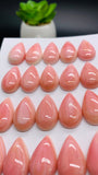 Queen Conch Shell Pear Cabs • 10x20 mm Size • Pack of 2 Pcs • AAA Quality • Flat Back • Queen Conch Cabochons