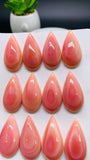 Queen Conch Shell Pear Cabs • 15x25 mm Size • Pack of 1 Pc • AAA Quality • Flat Back • Queen Conch Cabochons