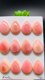 Queen Conch Shell Pear Cabs • 18x25 mm Size • Pack of 2 Pcs • AAA Quality • Flat Back • Queen Conch Cabochons