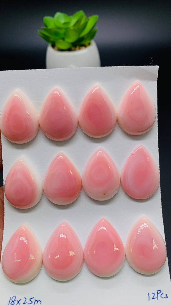 Queen Conch Shell Pear Cabs • 18x25 mm Size • Pack of 1 Pc • Baby Pink Color - AAA Quality • Flat Back • Queen Conch Cabochons