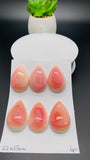 Queen Conch Shell Pear Cabs • 22x35 mm Size • Pack of 1 Pc • AAA Quality • Flat Back • Queen Conch Cabochons