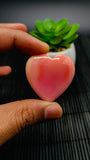 Queen Conch Shell Heart Cabs • 35 mm Size • Pack of 1 Piece • AAA Quality• Flat Back Queen Conch Cabochons