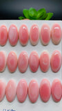 Queen Conch Shell Oval Cabs • 12x24 mm Size • Pack of 2 Pc • AAA Quality • Flat Back • Queen Conch Cabochons