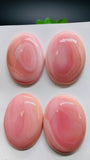 Queen Conch Shell Oval Cabs • 30x40 mm Size • Pack of 1 Pc • AAA Quality • Flat Back • Queen Conch Cabochons