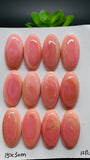 Queen Conch Shell Oval Cabs • 15x30 mm Size • Pack of 1 Pc • AAA Quality • Flat Back • Queen Conch Cabochons