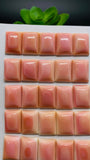 Queen Conch Shell Rectangle Cabs • 12x16 mm Size • Pack of 2 Pc • AAA Quality • Flat Back • Queen Conch Cabochons