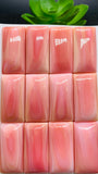 Queen Conch Shell Rectangle Cabs • 15x30 mm Size • Pack of 1 Pc • AAA Quality • Flat Back • Queen Conch Cabochons