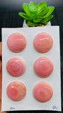 Queen Conch Shell Round Cabs • 25 mm Size • Pack of 1 Pc • AAA Quality • Flat Back • Queen Conch Cabochons