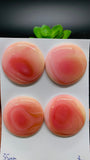 Queen Conch Shell Round Cabs • 35 mm Size • Pack of 1 Piece • AAA Quality • Flat Back • Queen Conch Cabochons