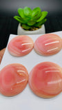 Queen Conch Shell Round Cabs • 35 mm Size • Pack of 1 Piece • AAA Quality • Flat Back • Queen Conch Cabochons