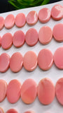 Queen Conch Shell Oval Cabs • 10x14 mm Size • Pack of 4 Pc • Both Sides Flat• AAA Quality • Queen Conch Cabochons