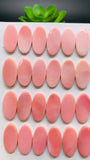 Queen Conch Shell Oval Cabs • 10x20 mm Size • Pack of 2 Pcs • Both Sides Flat• AAA Quality • Queen Conch Cabochons