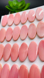 Queen Conch Shell Oval Cabs • 10x20 mm Size • Pack of 2 Pcs • Both Sides Flat• AAA Quality • Queen Conch Cabochons