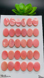 Queen Conch Shell Oval Cabs • 10x14 mm Size • Pack of 4 Pc • Both Sides Flat• AAA Quality • Queen Conch Cabochons
