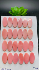 Queen Conch Shell Oval Cabs • 10x20 mm Size • Pack of 2 Pcs • Both Sides Flat• AAA Quality   • Queen Conch Cabochons