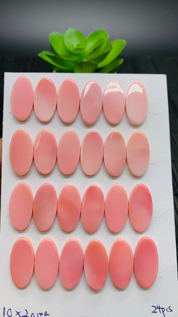 Queen Conch Shell Oval Cabs • 10x20 mm Size • Pack of 2 Pcs • Both Sides Flat• AAA Quality   • Queen Conch Cabochons