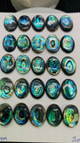 Abalone Shell Oval Cabs- 12x16 mm Size- Pack of 2 Pcs- AAAA Quality- Natural Abalone Cabochons
