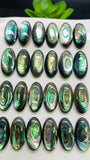 Abalone Shell Oval Cabs- 10x20 mm Size- Pack of 2 Pcs- AAAA Quality-  Natural Abalone Cabochons