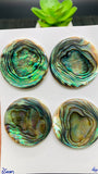 Abalone Shell Round Cabs- 35 mm Size- Pack of 1 Pc- AAAA Quality- Natural Abalone Cabochons