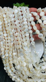 White MOP Faceted Coin Beads • 8 mm/ 10mm Size • 40 cm length • AAA Quality • Natural White Mother of Pearl