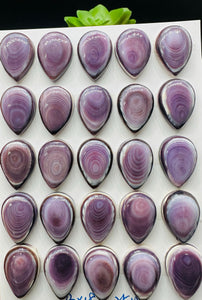 Wampum Quahog Shell Pear Cabs  • 12x16 / 13x18 mm Size • Pack of 1 Piece • AAA Quality • Natural Wampum Shell Cabochon •  Flat Back