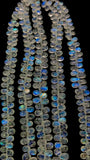 Moonstone  Briolette • 5-5.5 x 7-8 mm 6x8-10mm size • 4A Quality • Length 10 Inch • Rainbow Moonstone  Pear Briolette Beads