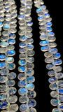 Moonstone  Briolette • 5-5.5 x 7-8 mm 6x8-10mm size • 4A Quality • Length 10 Inch • Rainbow Moonstone  Pear Briolette Beads