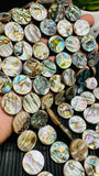 Abalone Shell Coin Beads • 16 mm Size • 40 cm length • AAA Quality • Natural Abalone Shell • Origin Australia